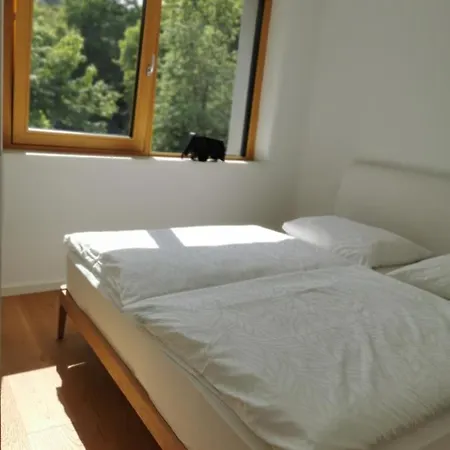 Apartment 191 With Balcony Laibach
